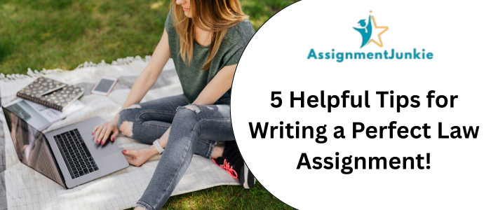 5 Helpful Tips for Writing a Perfect Law Assignment!