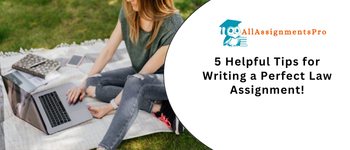 5 Helpful Tips for Writing a Perfect Law Assignment