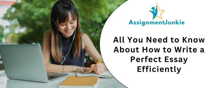 All You Need to Know About How to Write a Perfect Essay Efficiently