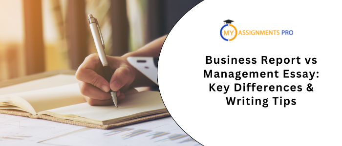 Business Report vs Management Essay: Key Differences & Writing Tips