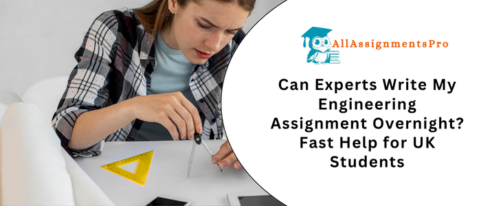 Can Experts Write My Engineering Assignment Overnight? Fast Help for UK Students