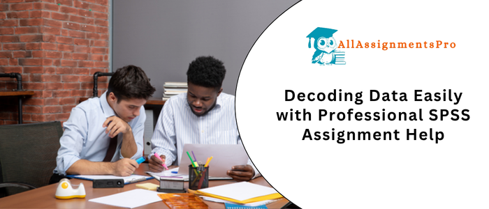 Decoding Data Easily with Professional SPSS Assignment Help