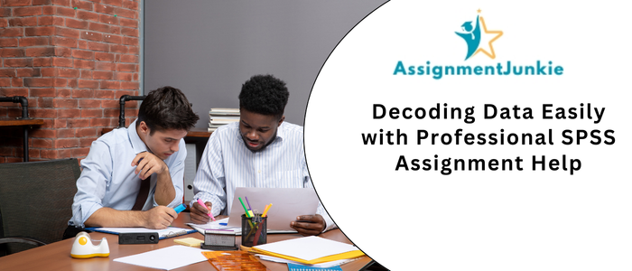 Decoding Data Easily with Professional SPSS Assignment Help