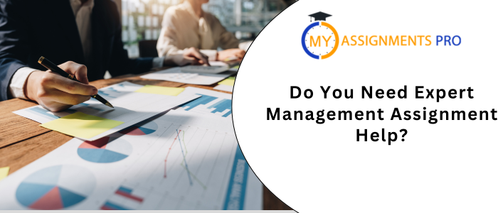 Do You Need Expert Management Assignment Help?