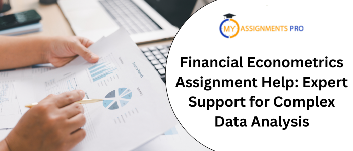 Financial Econometrics Assignment Help Expert Support for Complex Data Analysis