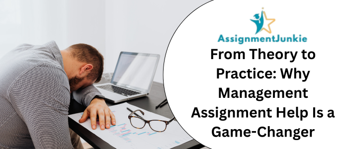 From Theory to Practice: Why Management Assignment Help Is a Game-Changer
