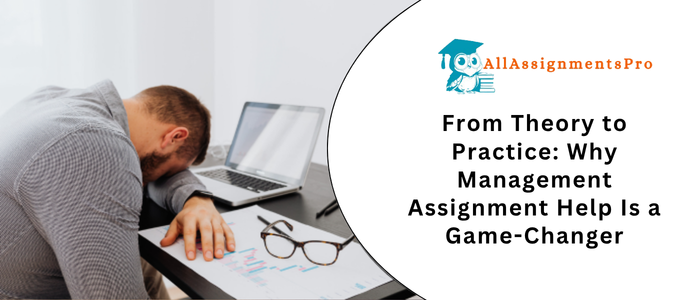 From Theory to Practice Why Management Assignment Help Is a Game-Changer1
