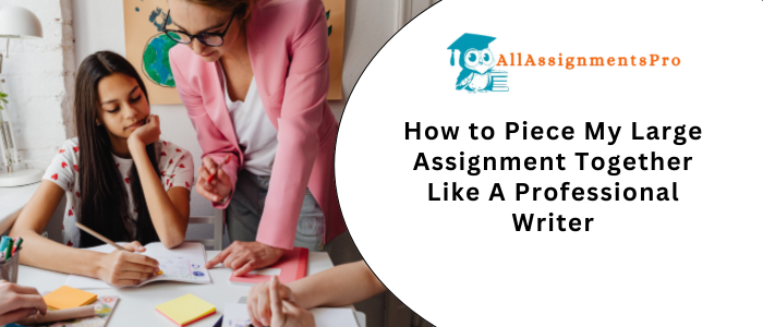 How to Piece My Large Assignment Together Like A Professional Writers