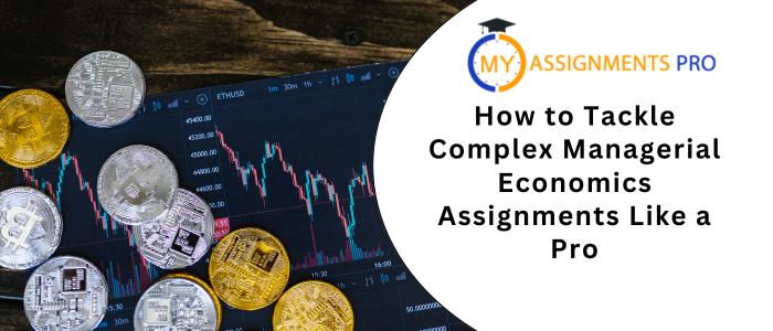 How to Tackle Complex Managerial Economics Assignments Like a Pro