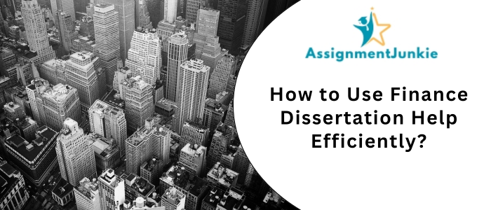 How to Use Finance Dissertation Help Efficiently