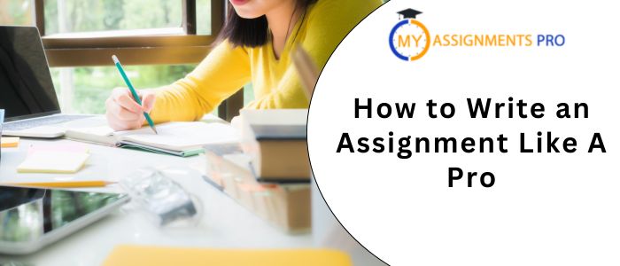 How to Write an Assignment Like A Pro