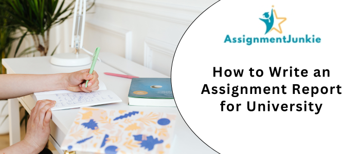 How to Write an Assignment Report for University