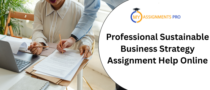 Professional Sustainable Business Strategy Assignment Help Online