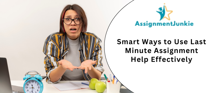 Smart Ways to Use Last Minute Assignment Help Effectively