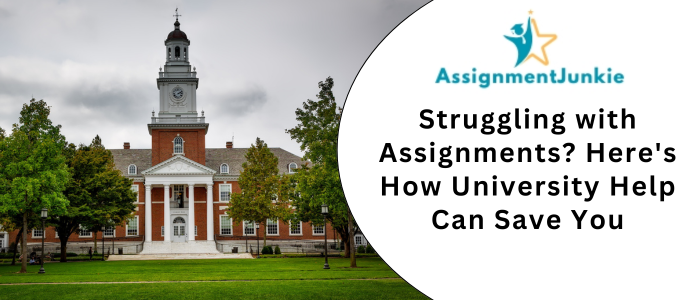 Struggling with Assignments Here's How University Help Can Save You
