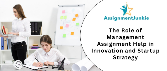 The Role of Management Assignment Help in Innovation and Startup Strategy
