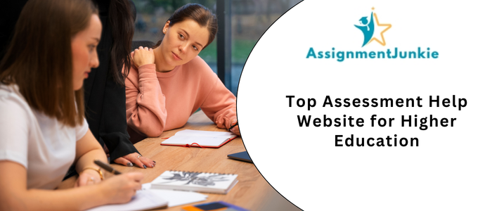 Top Assessment Help Website for Higher Education
