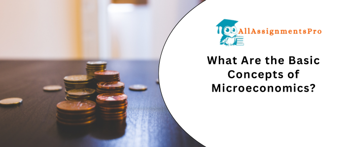 What Are the Basic Concepts of Microeconomic