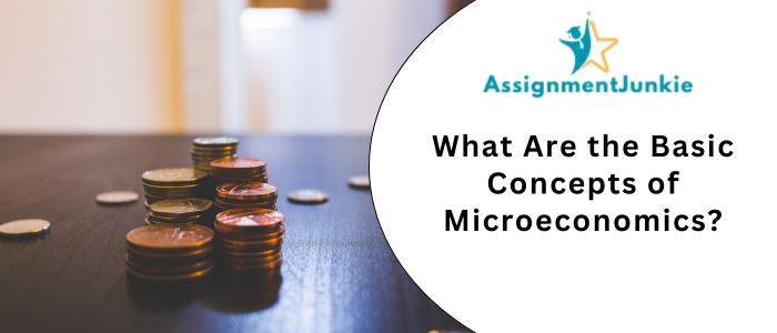 What Are the Basic Concepts of Microeconomics