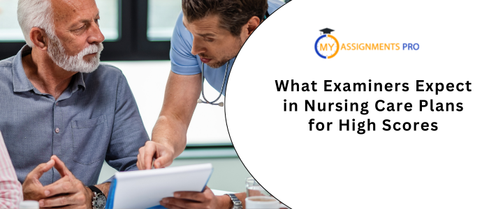What Examiners Expect in Nursing Care Plans for High Scores