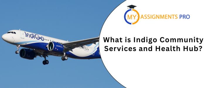What is Indigo Community Services and Health Hub?