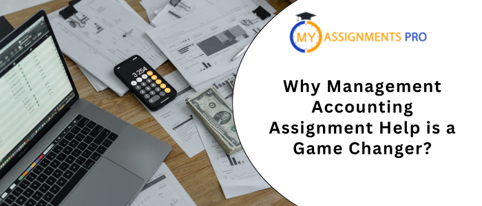 Why Management Accounting Assignment Help is a Game Changer
