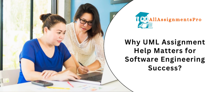 Why UML Assignment Help Matters for Software Engineering Success?