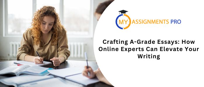 essay writing services