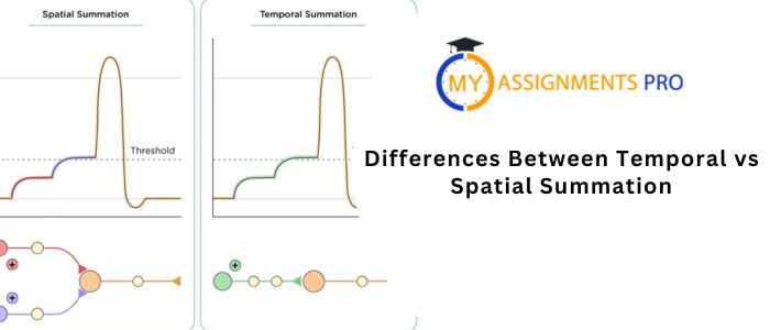 Temporal vs Spatial Summation